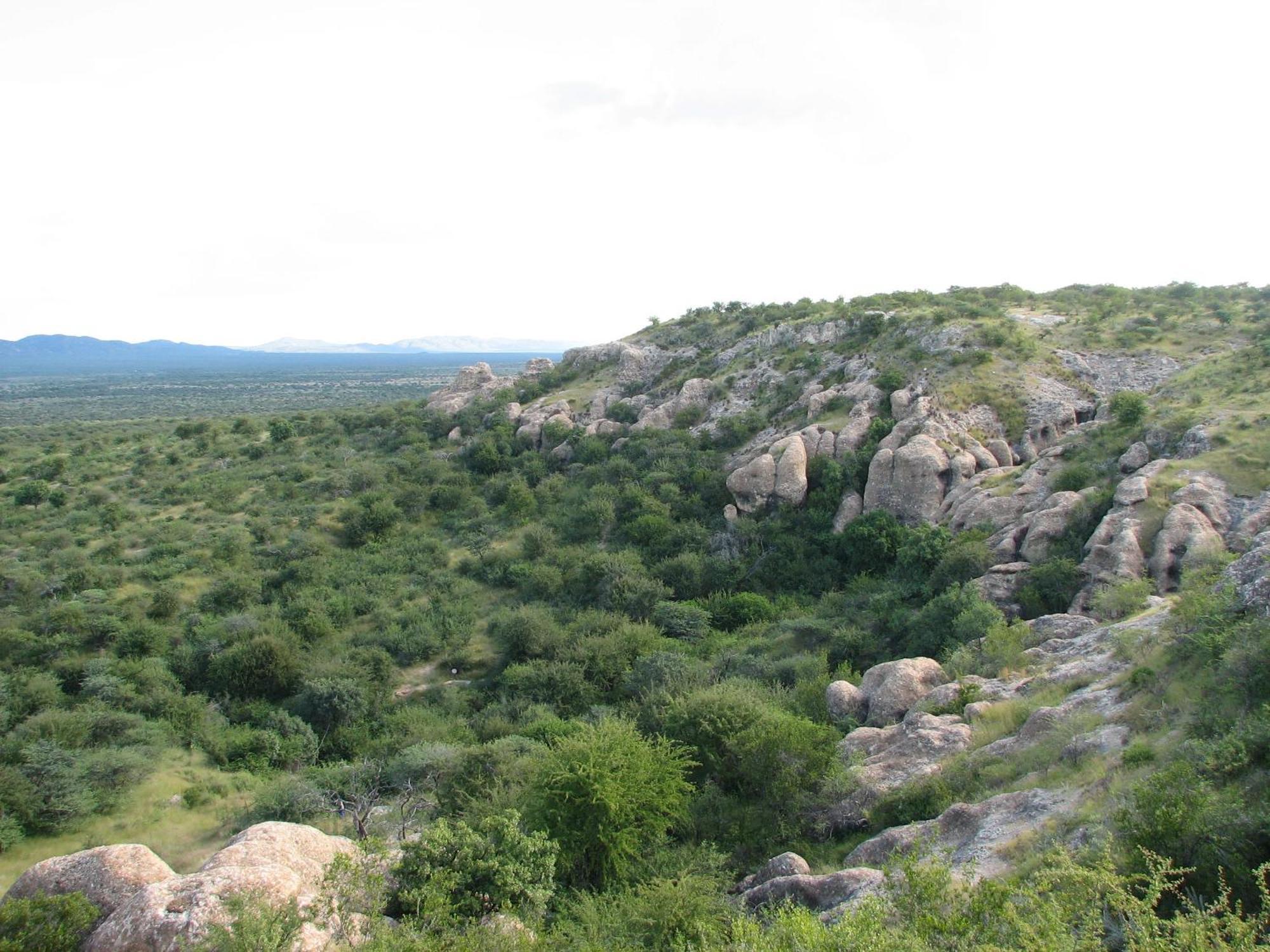 Villa Sasa Safari Camp & Tours Outjo Esterno foto